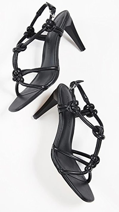 Shop Rebecca Minkoff Laciann T-strap Sandals In Black