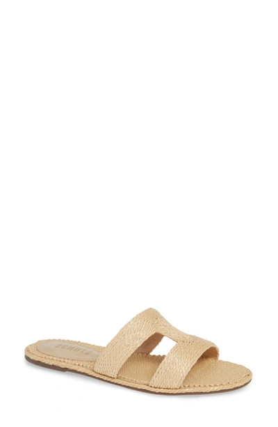 Shop Schutz Tammya Slide Sandal In Palha