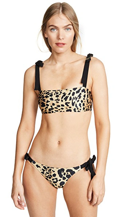Shop Zimmermann Veneto Tie Bandeau Bikini Set In Leopard