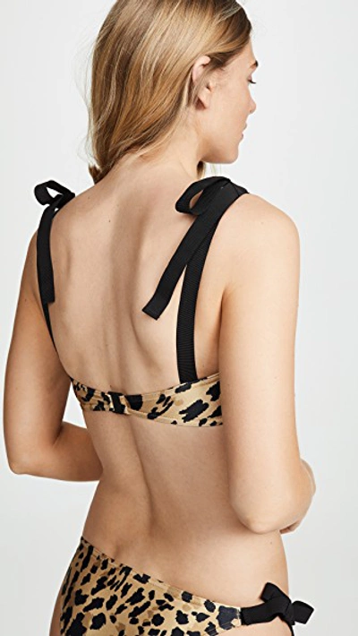 Shop Zimmermann Veneto Tie Bandeau Bikini Set In Leopard