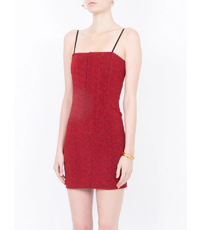 Shop Alexander Wang Floral Jacquard Dress In Red