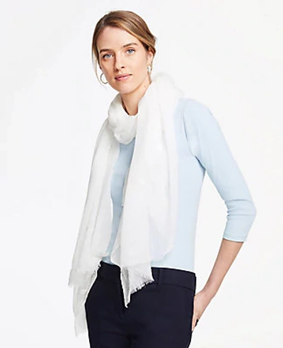 Shop Ann Taylor Dotted Fringe Scarf In White
