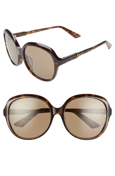 Shop Gucci 58mm Round Sunglasses In Havana/ Solid Brown