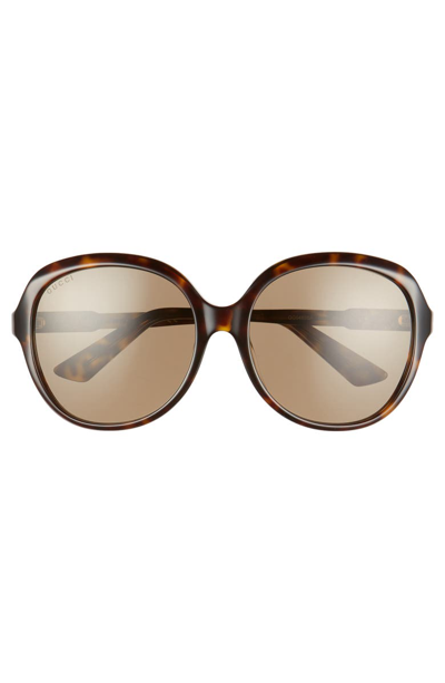 Shop Gucci 58mm Round Sunglasses In Havana/ Solid Brown