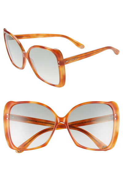 Shop Gucci 62mm Oversize Butterfly Sunglasses - Lt Havana/ Green Gradient