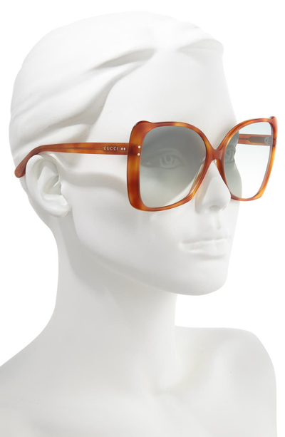 Shop Gucci 62mm Oversize Butterfly Sunglasses - Lt Havana/ Green Gradient