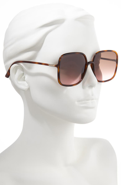 Shop Dior Stellair 59mm Square Sunglasses In Havana/ Black Brown Green