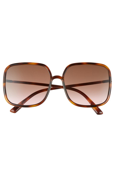 Shop Dior Stellair 59mm Square Sunglasses In Havana/ Black Brown Green