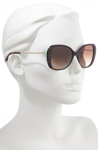 Shop Tiffany & Co Tiffany T 55mm Gradient Butterfly Sunglasses In Blue/ Havana Gradient
