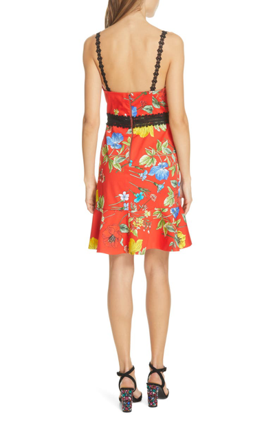 Shop Alice And Olivia Kirby Floral Tulip Hem Dress In Seine Garden Strp Bt Poppy/ Mt