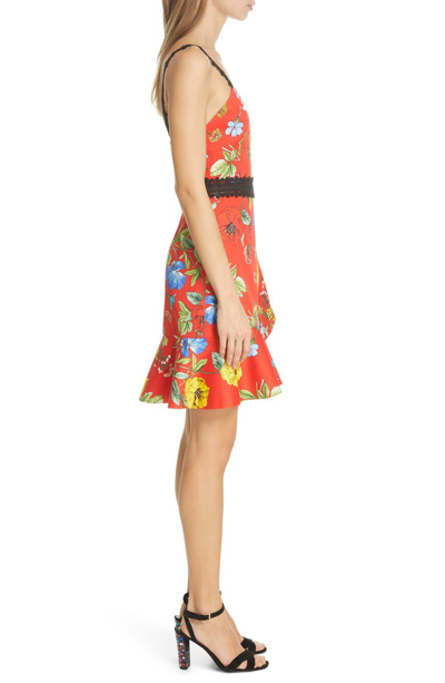 Shop Alice And Olivia Kirby Floral Tulip Hem Dress In Seine Garden Strp Bt Poppy/ Mt