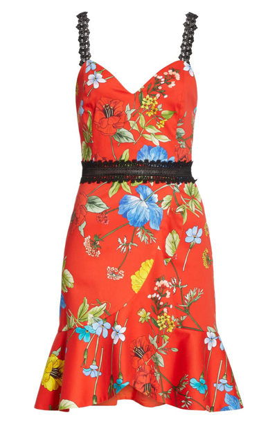 Shop Alice And Olivia Kirby Floral Tulip Hem Dress In Seine Garden Strp Bt Poppy/ Mt