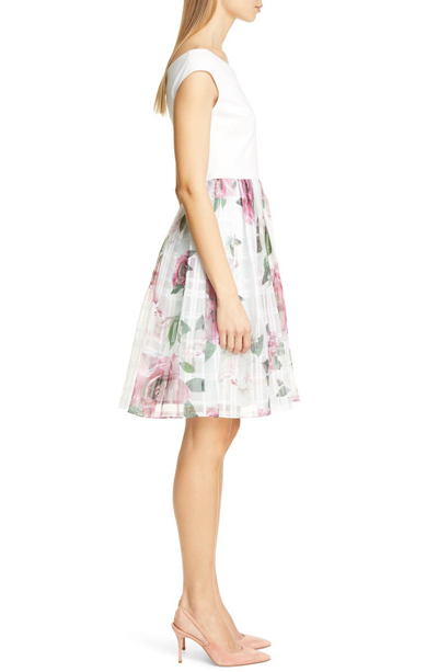Shop Ted Baker Licious Magnificent Fit & Flare Dress In Mint