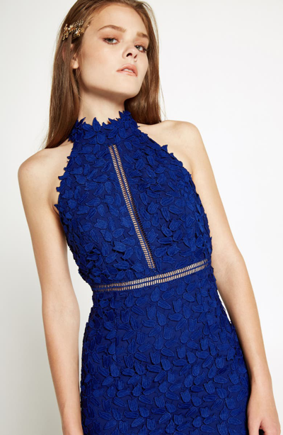 Shop Bardot Gemma Halter Lace Sheath Dress In Cobalt