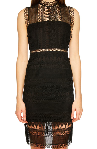 Shop Bardot Mariana Lace Body-con Dress In Black