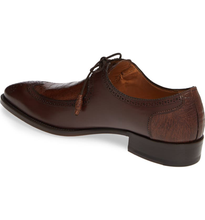 Shop Mezlan Albano Wingtip In Brown/ Rugger Leather/ Ostrich