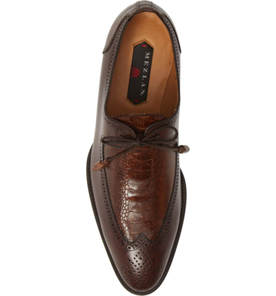 Shop Mezlan Albano Wingtip In Brown/ Rugger Leather/ Ostrich