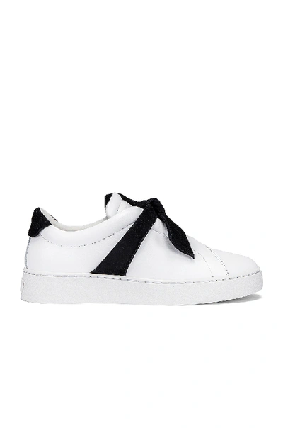Shop Alexandre Birman Clarita Sneaker In Black & White