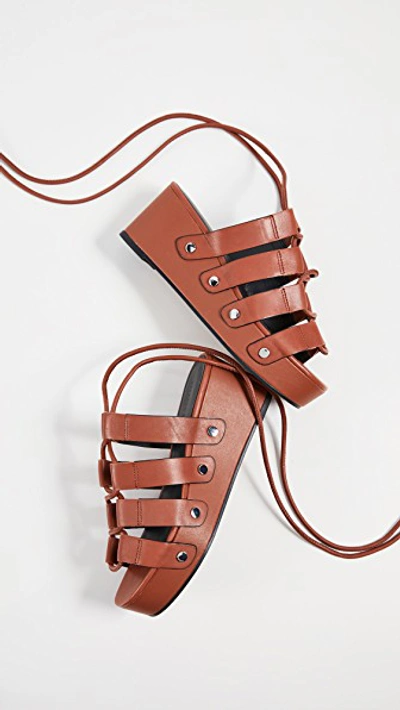 Shop Rebecca Minkoff Iven Strappy Sandals In Brown