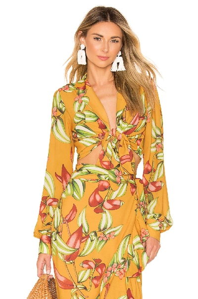 Shop Patbo Zebrina Print Tie Front Cropped Top In Yellow