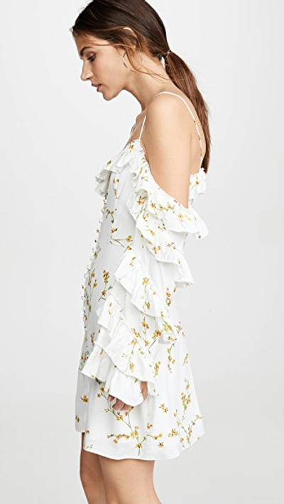 Shop Divine Héritage Cold Shoulder Ruffle Sleeve Button Up Mini Dress In White Light