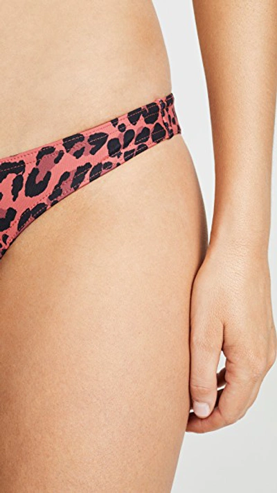 Shop Zimmermann Separates Sculpt Skinny Bikini Bottoms In Desert Leopard