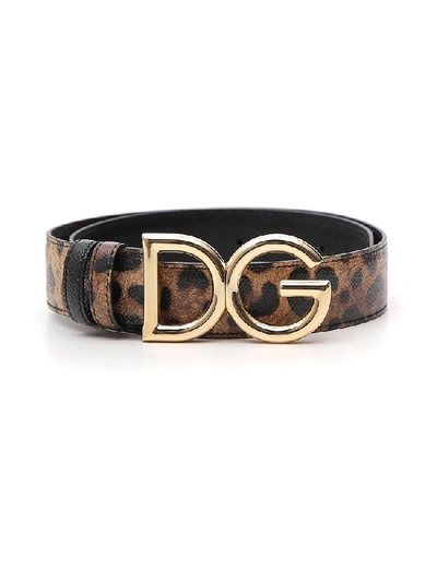 Shop Dolce & Gabbana Leopard Print Logo Buckle Belt In Multi