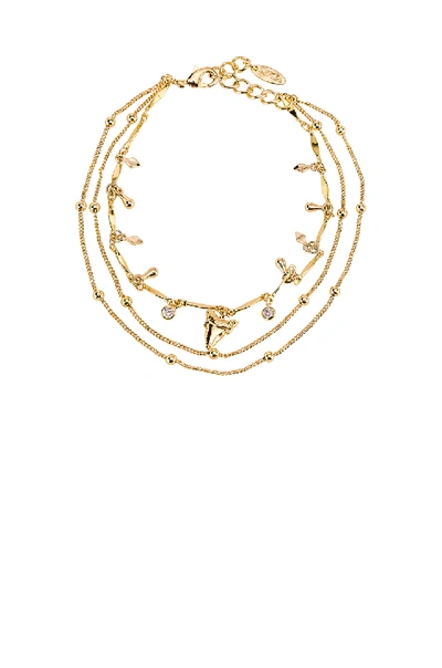 Shop Ettika Shark Tooth Anklet In Clear & Gold