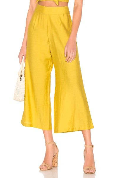Shop Blue Life High Waisted Culotte In Mimosa