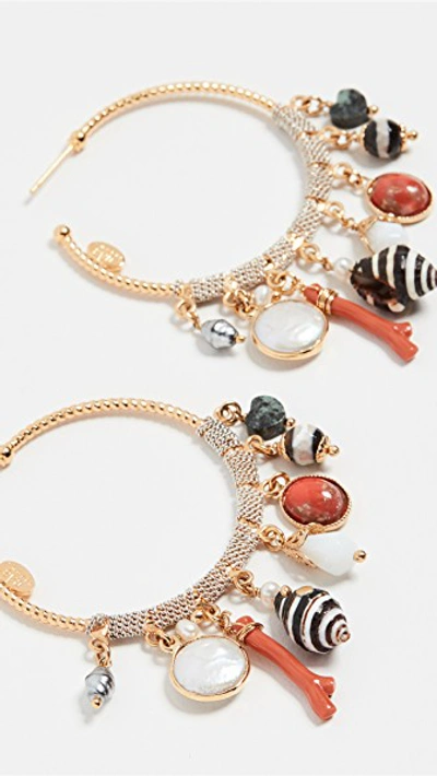 Shop Gas Bijoux Shell Charm Anastasia Hoops In Gold