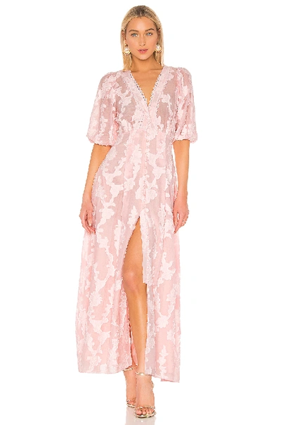 Tanya Taylor Ariela Floral-embroidered Jacquard Maxi Dress In Blush |  ModeSens
