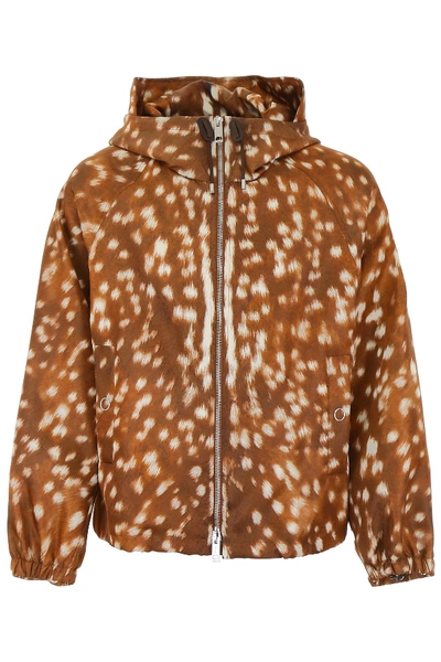 Shop Burberry Deer Print Hooded Jacket In Brown
