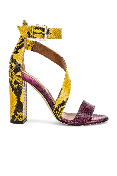 Shop Paris Texas Diagonal Strap Snake 100 Sandal Heel In Multi In Fuchsia & Yellow