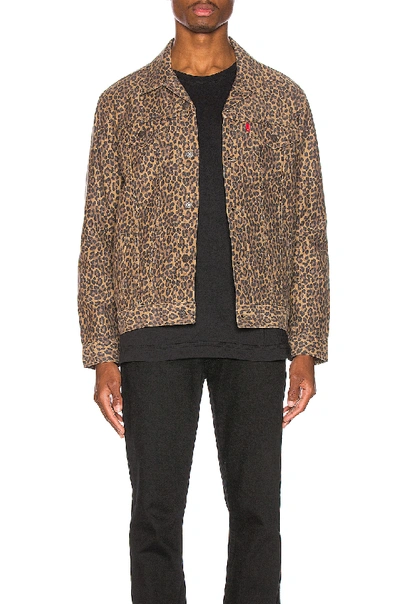 Levi's Cheetah Print Trucker Jacket In Patchy Cheetah | ModeSens
