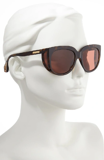 Shop Gucci 57mm Cat Eye Sunglasses - Shny Dk Hav Mazzu/brn Solid
