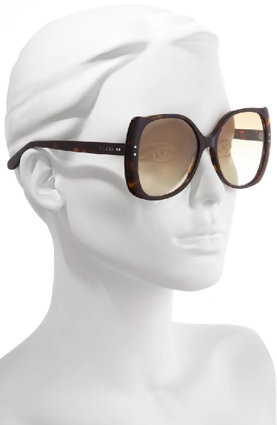 Shop Gucci 56mm Gradient Butterfly Sunglasses In Shiny Dk Hav/brn Grad