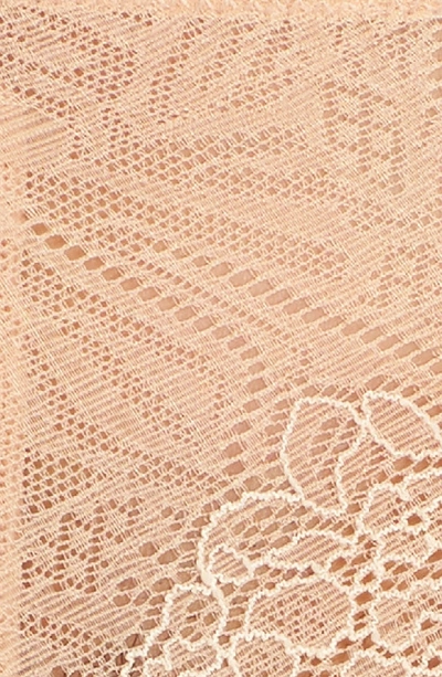 Shop Madewell Lace Tanga In Voile Pink