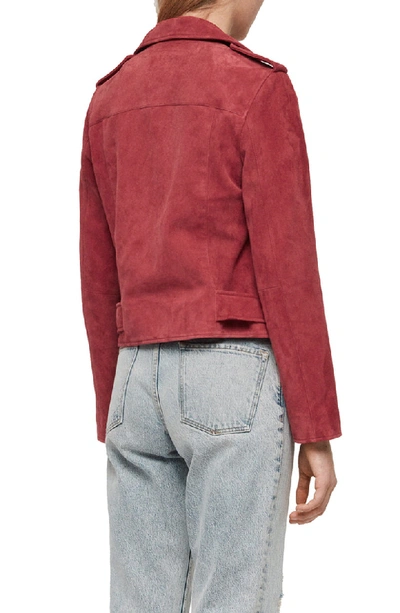 Shop Allsaints Balfern Suede Moto Jacket In Raspberry Pink