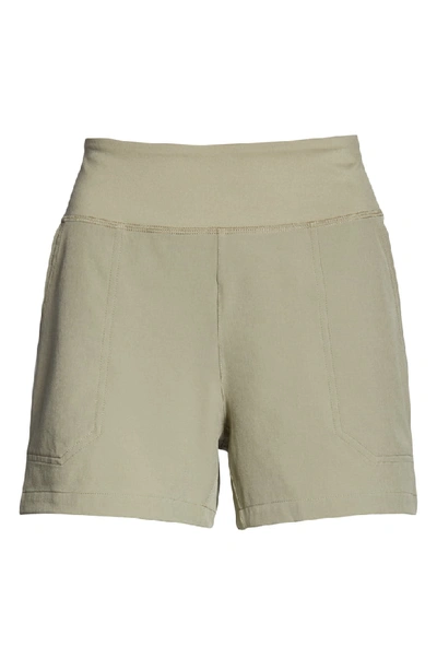 Shop Patagonia Happy Hike Shorts In Shale