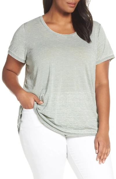 Shop Vince Camuto Scooped Burnout Tee In Burnout Sage