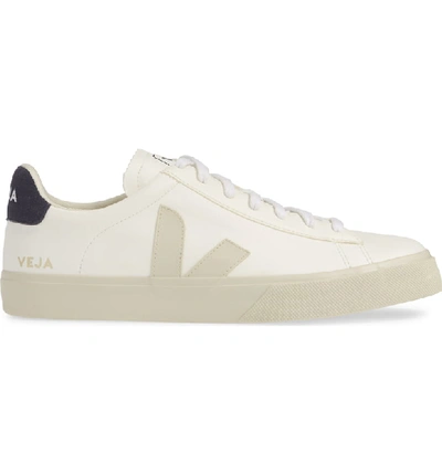 Shop Veja Campo Sneaker In White/nautico