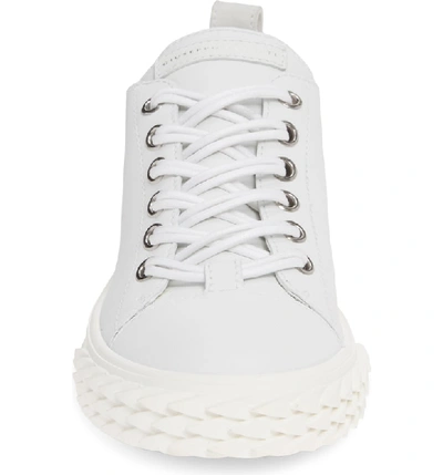 Shop Giuseppe Zanotti Double Lace Sneaker In Bianco / White