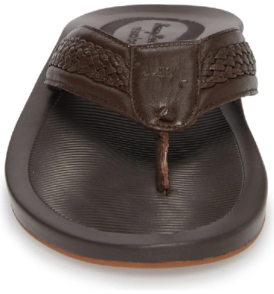 Shop Tommy Bahama Shallows Edge Flip Flop In Dark Brown Leather