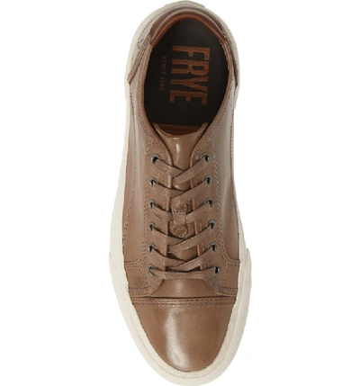 Shop Frye Ludlow Sneaker In Slate Leather