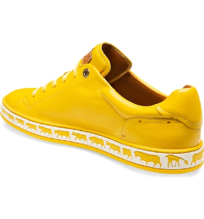 Shop Bally Anistern Sneaker In Canary Yellow