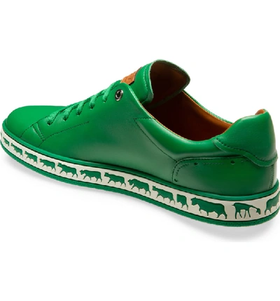 Shop Bally Anistern Sneaker In Dark Emerald