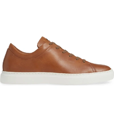 Shop Aquatalia Alaric Sneaker In Cognac