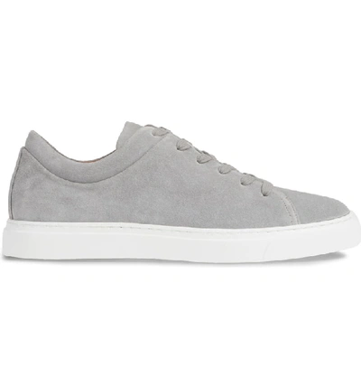 Shop Aquatalia Alaric Sneaker In Light Grey Suede