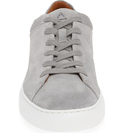 Shop Aquatalia Alaric Sneaker In Light Grey Suede