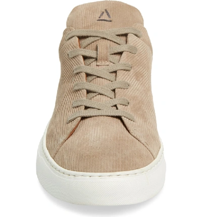 Shop Aquatalia Alaric Sneaker In Sand